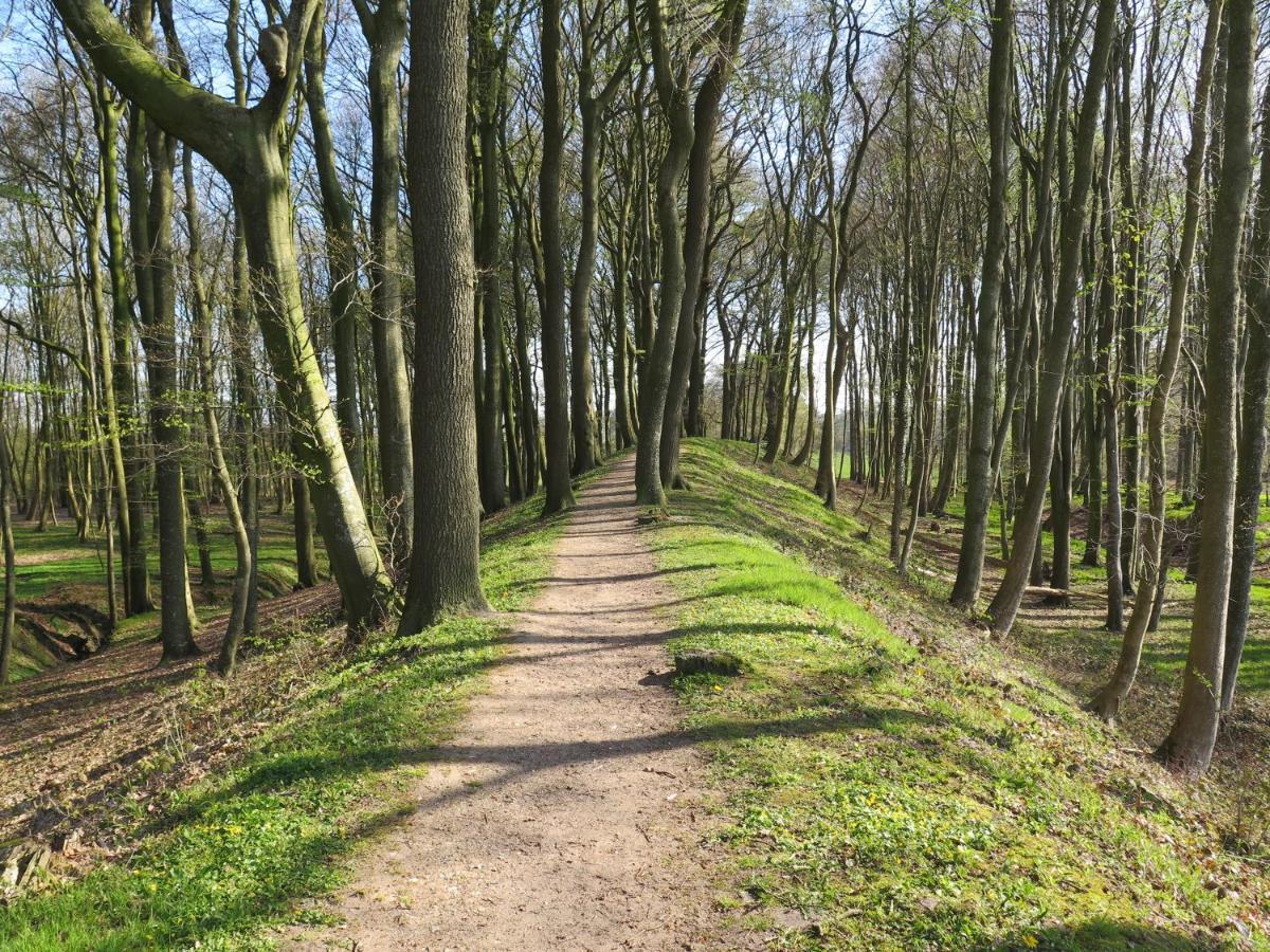 Ferienwohnungen Am Danewerk Dannewerk Zewnętrze zdjęcie